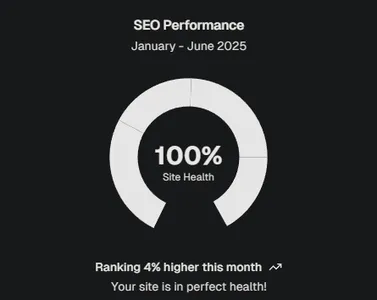 SEO Performance Stats